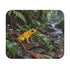 Golden Poison Frog Mouse Pad Phyllobates Terribilis Rainforest Wildlife Colorful Amphibian