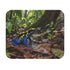 Dying Poison Dart Frog Mouse Pad Dendrobates Tinctorius Rainforest Wildlife Colorful Amphibian