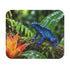 Blue Poison Dart Frog Mouse Pad Dendrobates Tinctorius Rain Forest Wildlife Colorful Amphibian