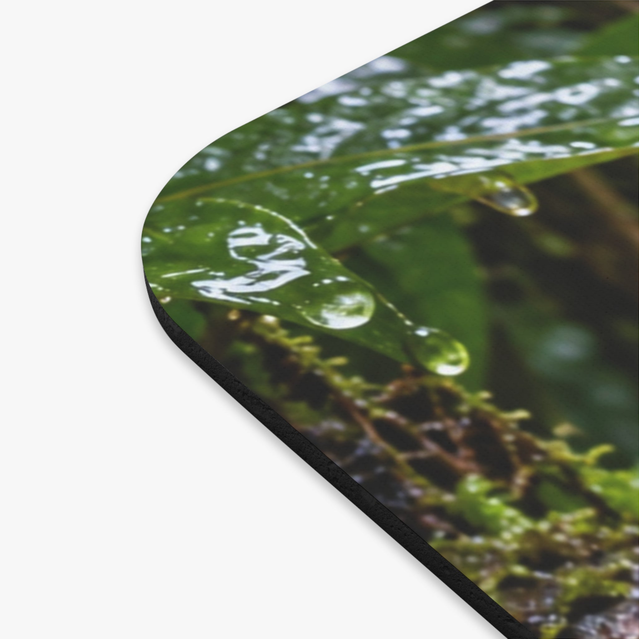 Amazon Milk Frog Mouse Pad Trachycephalus Resinifictrix Rainforest Wildlife Colorful Amphibian