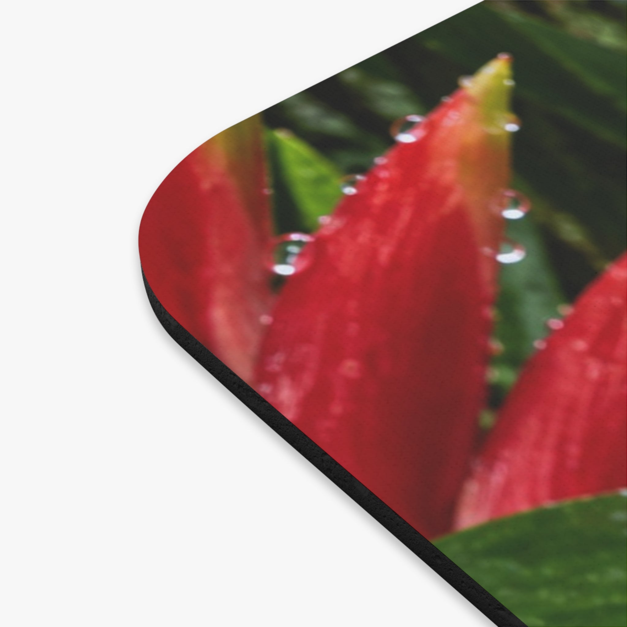 Red Eyed Tree Frog Mouse Pad Agalychnis Callidryas Rainforest Wild Life Colorful Amphibian