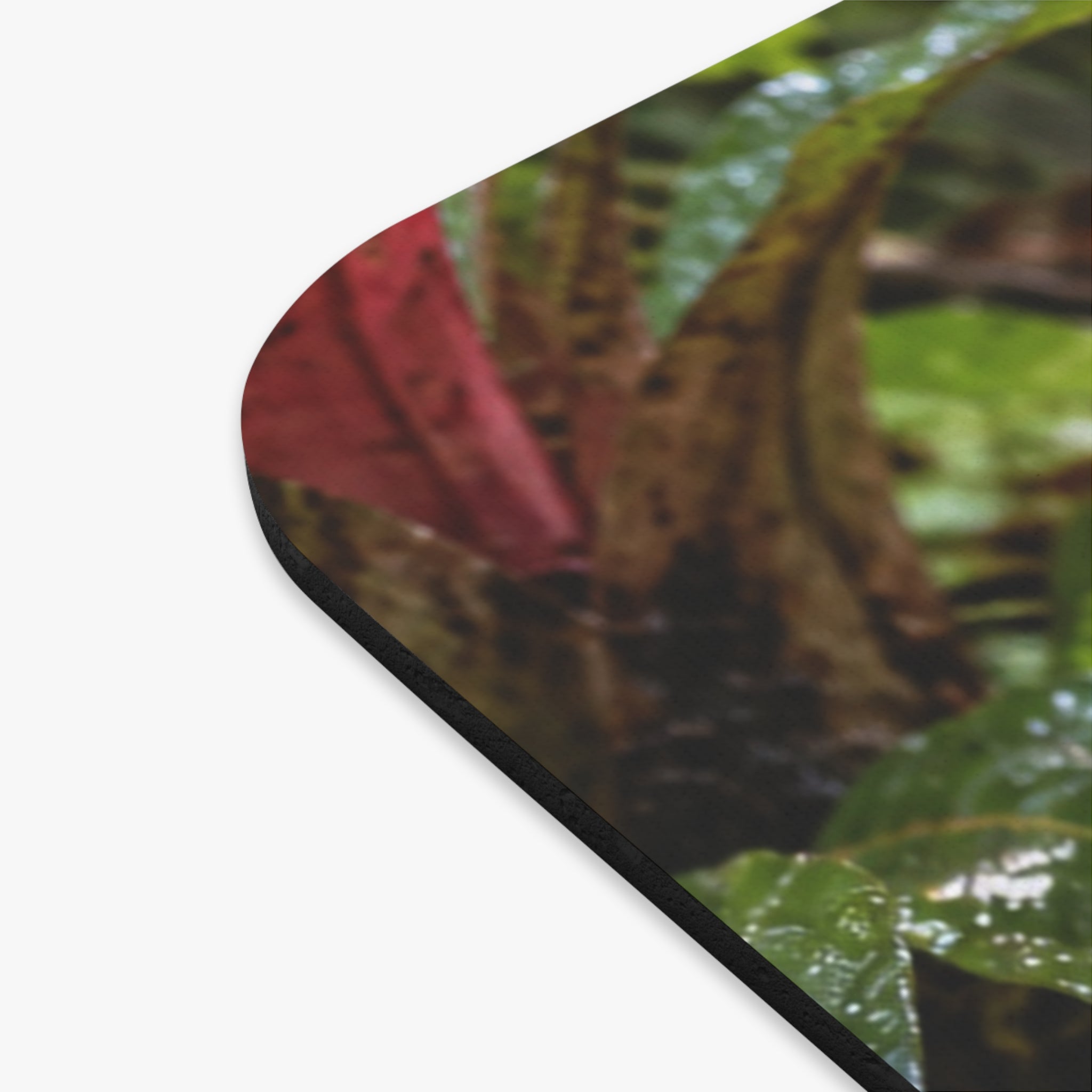 Strawberry Poison Dart Frog Mouse Pad Oophaga Pumilio Rainforest Wildlife Colorful Amphibian