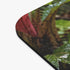 Strawberry Poison Dart Frog Mouse Pad Oophaga Pumilio Rainforest Wildlife Colorful Amphibian