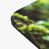 Blue Poison Dart Frog Mouse Pad Dendrobates Tinctorius Rain Forest Wildlife Colorful Amphibian
