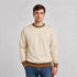Adult Cream and Brown Costume Shirt Sweatshirt - Gumball