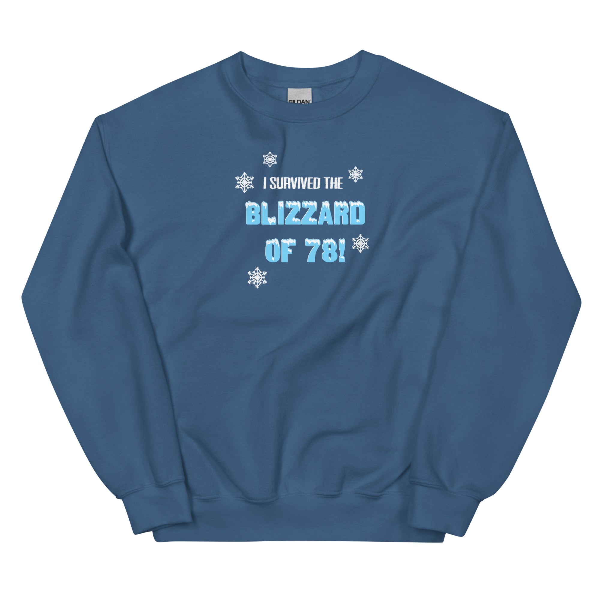 I Survived The Blizzard of 78 Unisex Sweatshirt